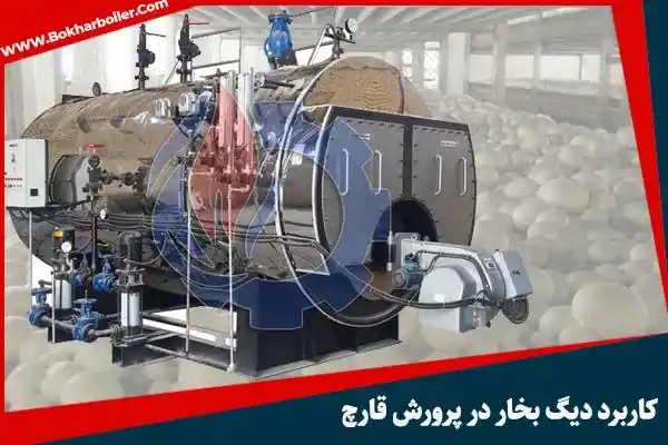 دیگ بخار در پرورش قارچ: ۶ کاربرد اصلی و تاثیرات آن بر بهبود کیفیت محصول