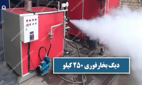 دیگ بخار فوری ژنراتوری250 کیلو