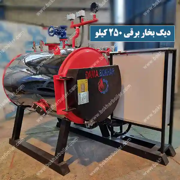 دیگ بخار برقی 250 کیلویی