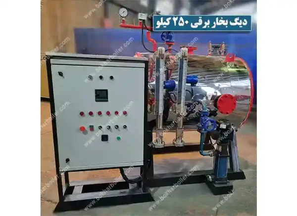 دیگ بخار 250 کیلو بر ساعت