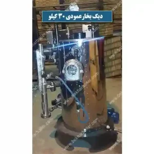 دیگ بخار عمودی 30 کیلو