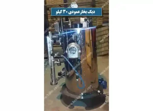 دیگ بخار عمودی 30 کیلو