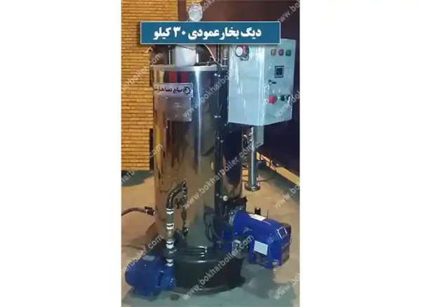 دیگ بخار عمودی 30 کیلو