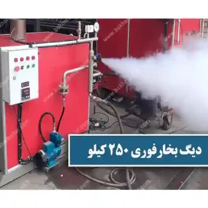 دیگ بخار فوری 250 کیلو