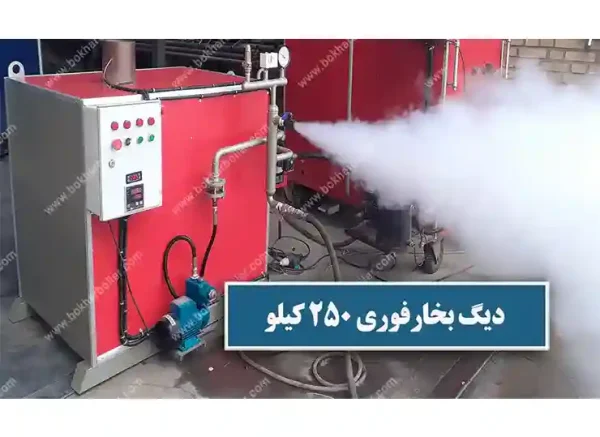 دیگ بخار فوری 250 کیلو